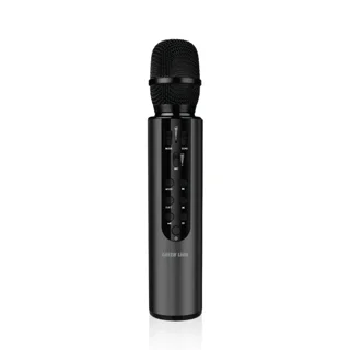 میکروفون گرین لاین Karaoke